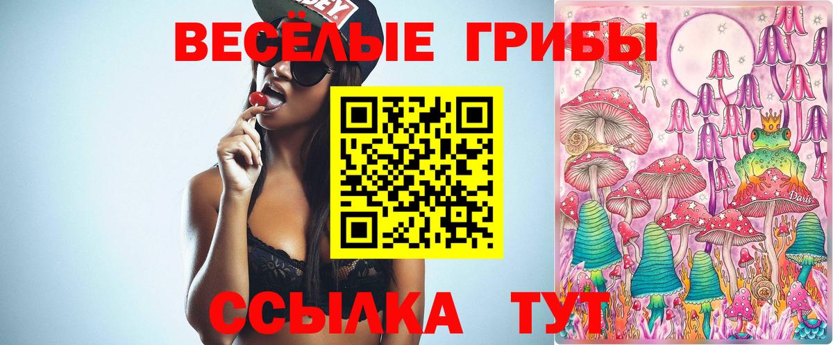 Карталы  Псилоцибиновые грибы прущие грибы  Вход с VPN  Псилоцибиновые грибы GOLDEN TEACHER 