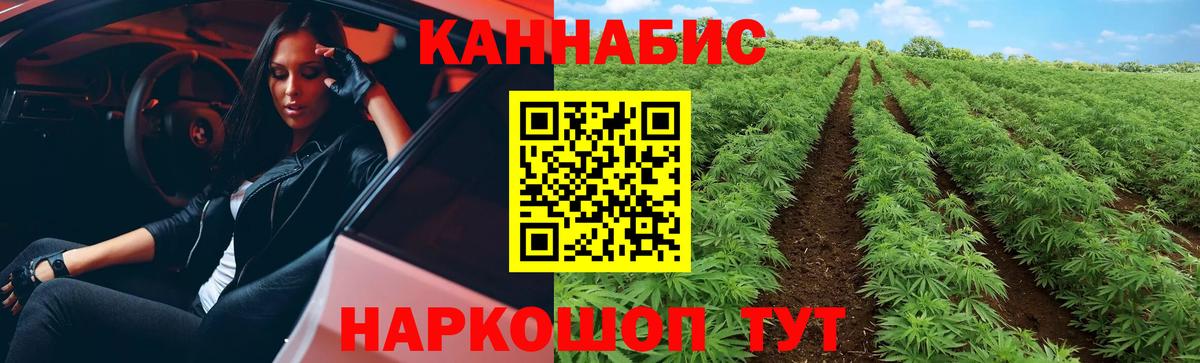 Конопля SATIVA & INDICA  Марихуана OG Kush  Бошки Шишки гибрид  Карталы  Вход с VPN 